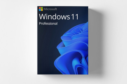 Microsoft Windows 11 Professional | Digitale Lieferung (0–1 Tag)